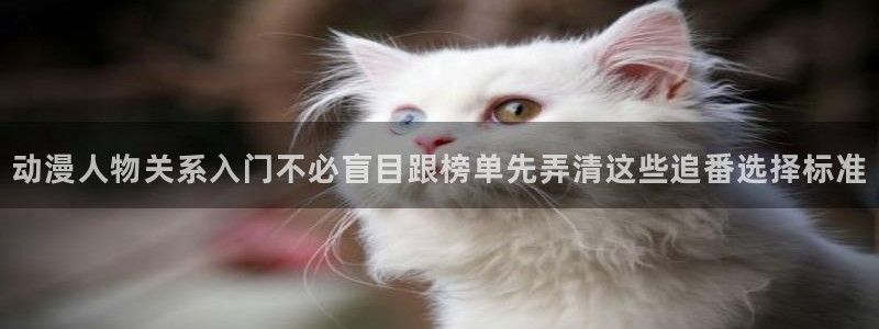 漫蛙官：动漫人物关系入门不必盲目跟榜单先弄清这些追番选择标准配图