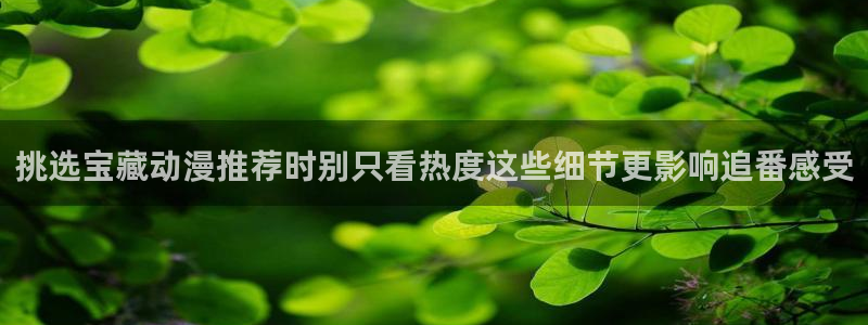 漫蛙本：挑选宝藏动漫推荐时别只看热度这些细节更影响追番感受配图