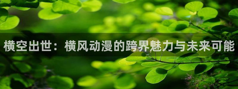 蛙小漫:横空出世:横风动漫的跨界魅力与未来可能配图