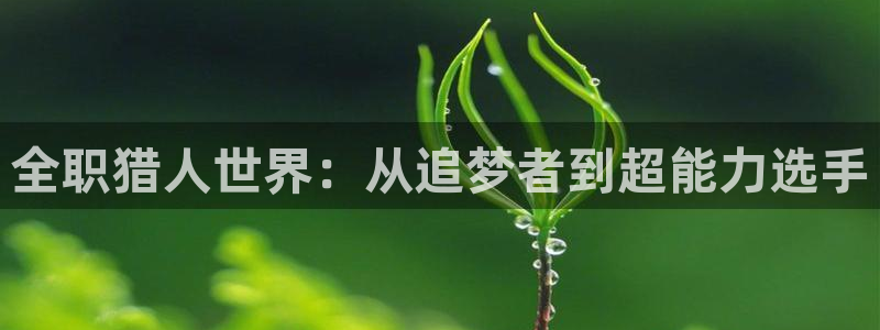 蛙漫畫：全职猎人世界：从追梦者到超能力选手配图
