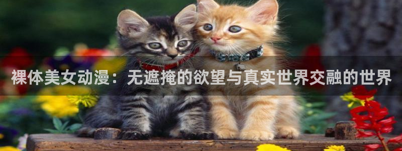 漫蛙客：裸体美女动漫：无遮掩的欲望与真实世界交融的世界配图